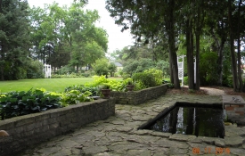 pm pond front yard